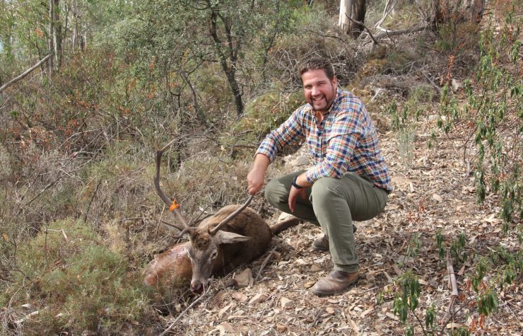 Montería en Escambron (Chirivitales)