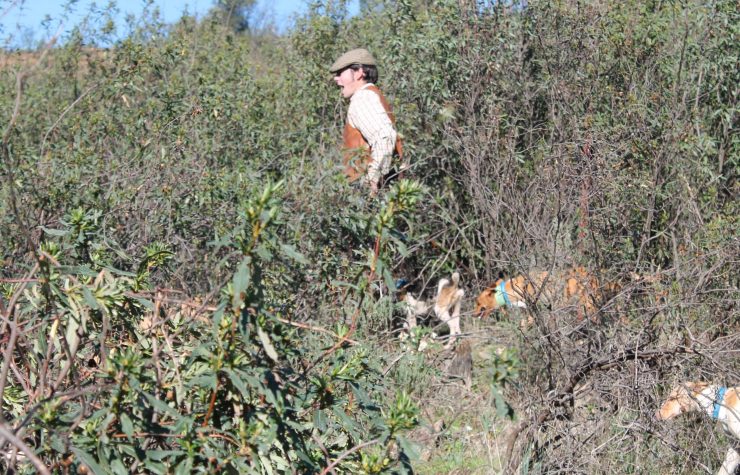 Montería en La Trinidad.