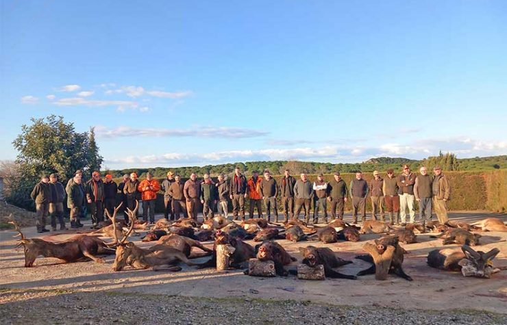 Montería en La Alcaidesa II