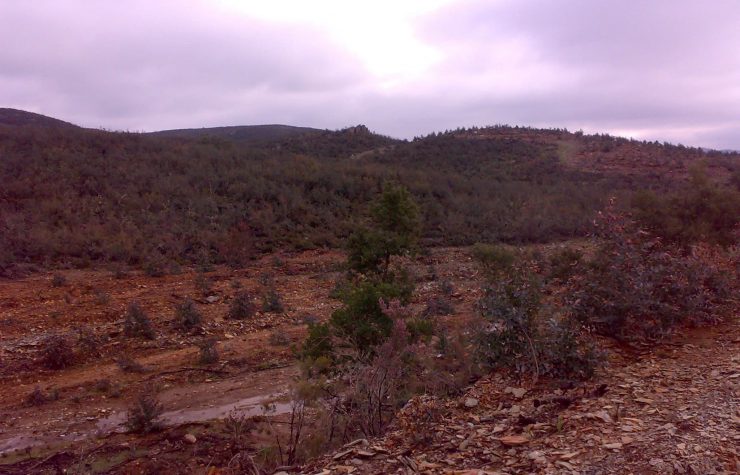 Montería en El Rombo