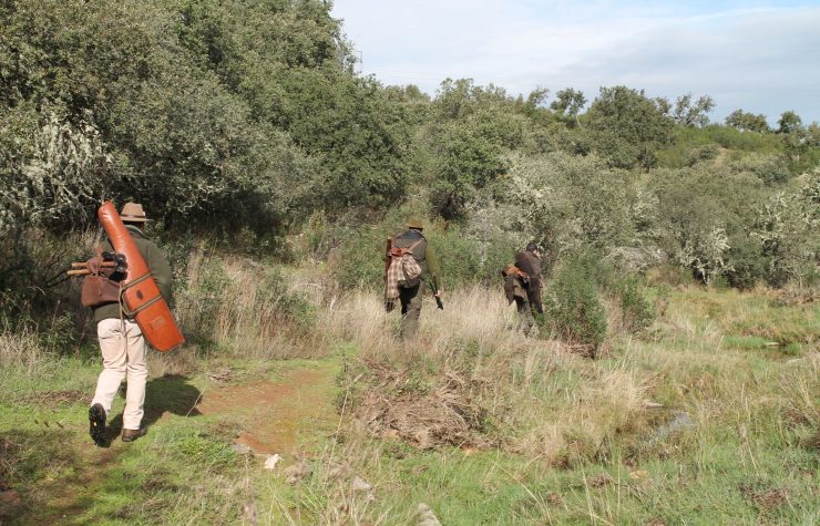 Montería en Entresierra