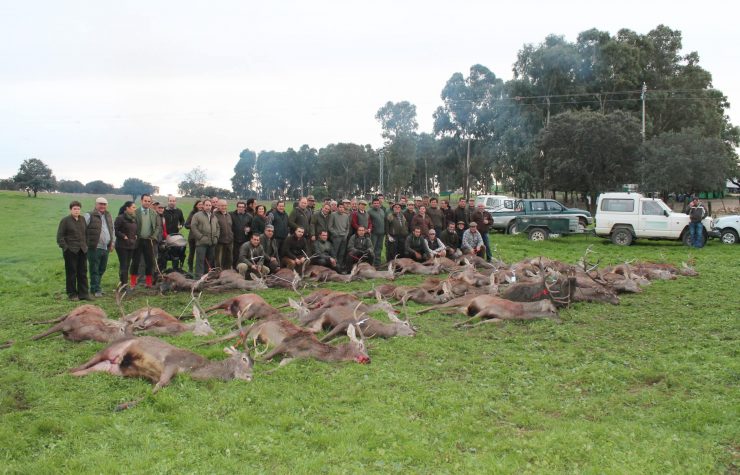 Montería en Esparragal