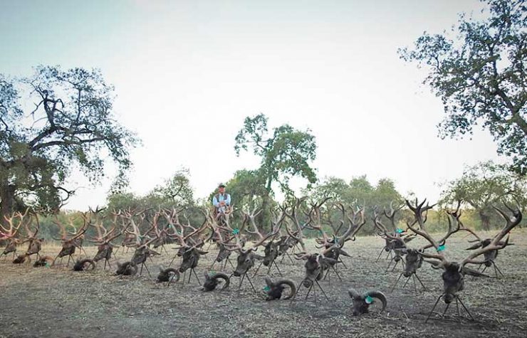Montería en Nava el Sach II