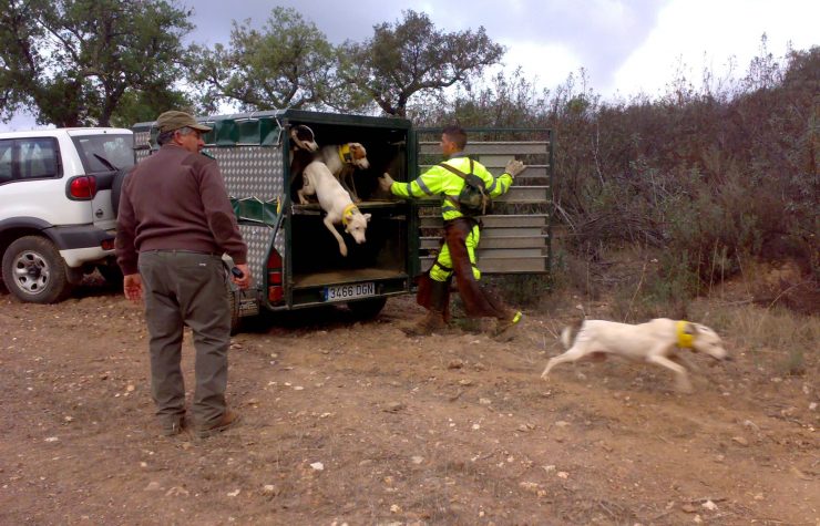Montería en Las Mayas