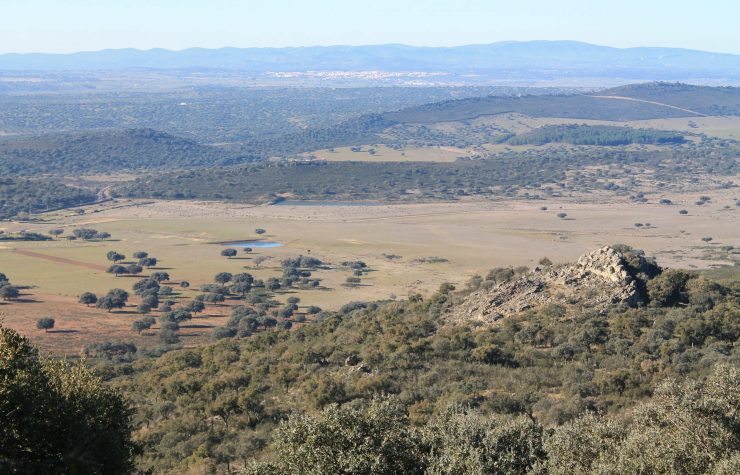 Montería en la Jaca