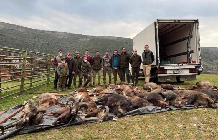 Montería en Montón de Trigo