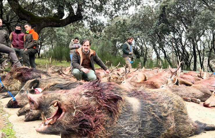 Montería en la solana de Navalconejo