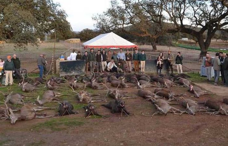 Montería en Navavacas y Perodosma