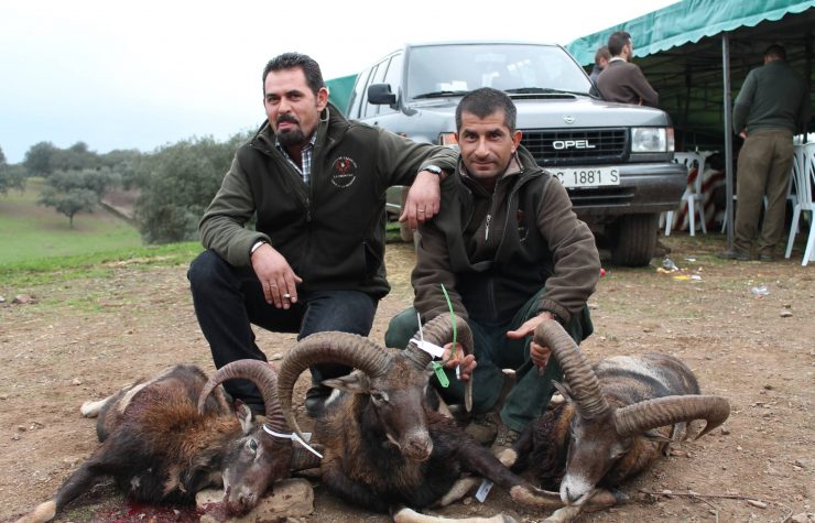 Montería en Robledillo