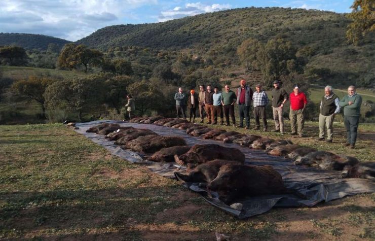 Montería en Palmitero.