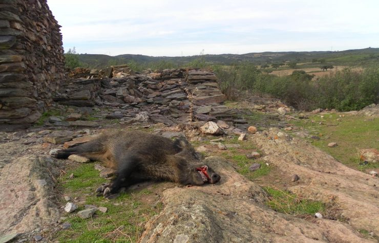 Montería en el Cerro de las Vacas