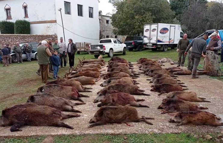 Montería en Cuchillares