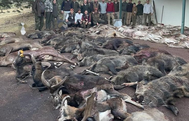 Montería en Tamaral