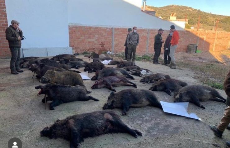 Montería en Umbría de las Morras