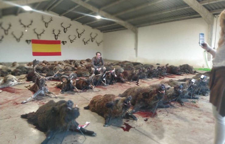 Montería en Valdesimón