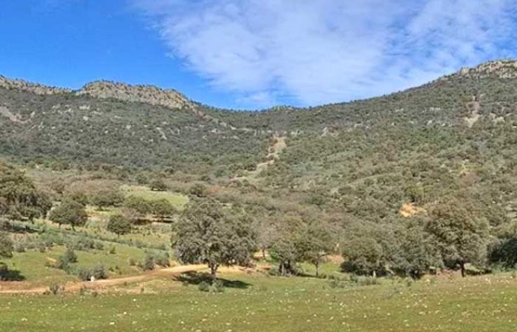 Montería en Navalcaballejo