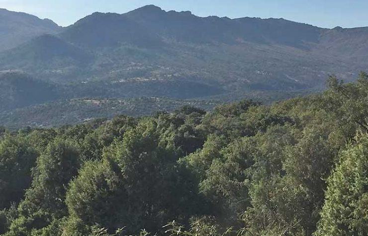 Montería en Valmayor