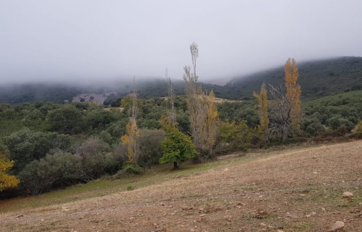 Montería en Los Regajos