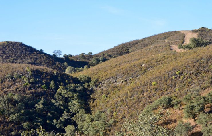Montería en La Cerca Del Cojo