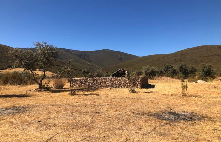 Montería en Navalgallo