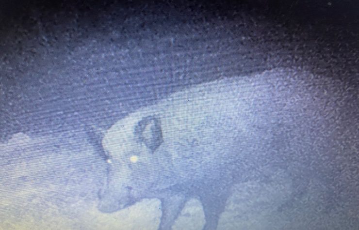 Montería en El Jardín