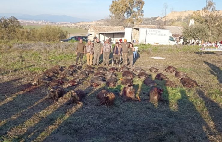 Montería en Sauco - Tejadillo