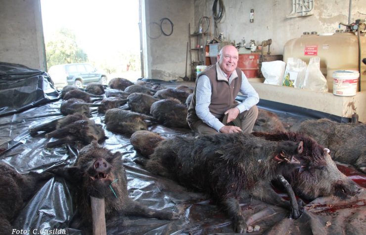 Montería en Dehesa Pérez