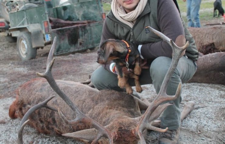 Montería en El Moro