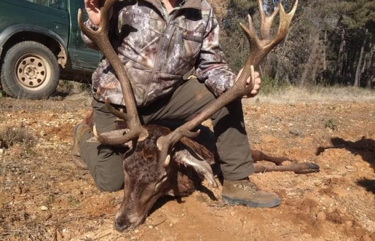 Montería en El Molino