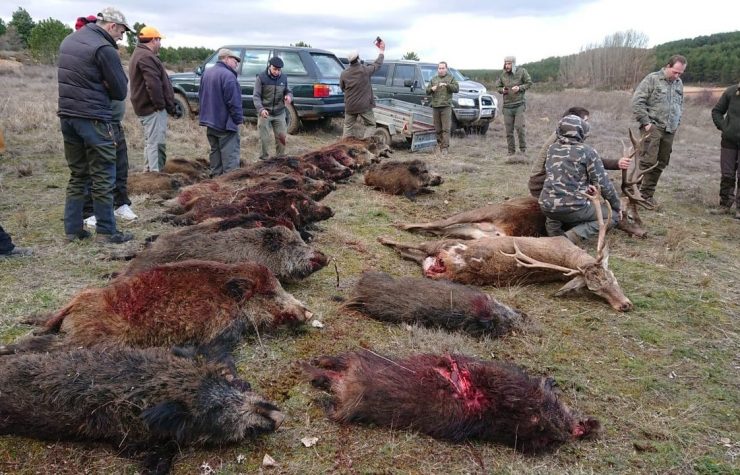 Montería en Las Dehesas