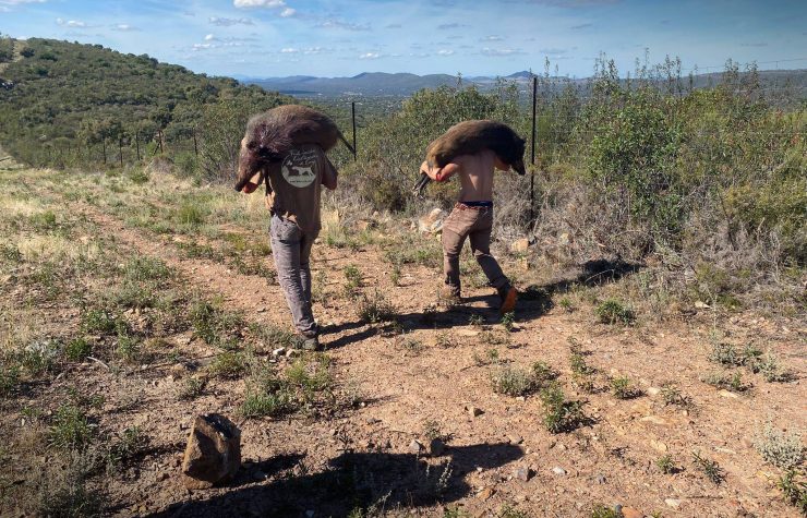 Montería en El Risque