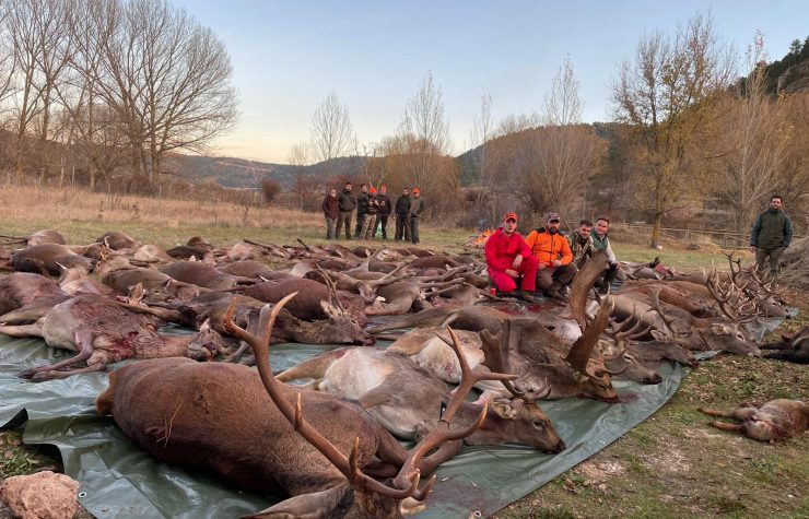 Montería en Pinilla