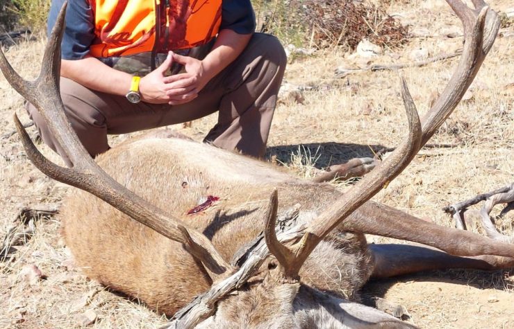 Montería en Peñaquemada De Abajo