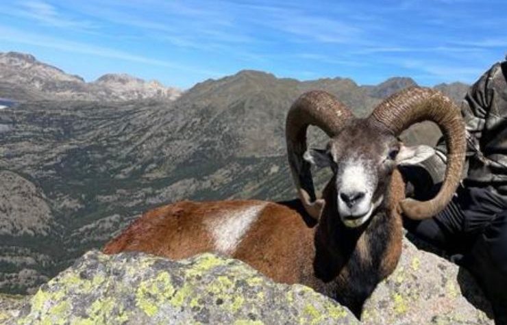 Montería en Umbría de la Venta