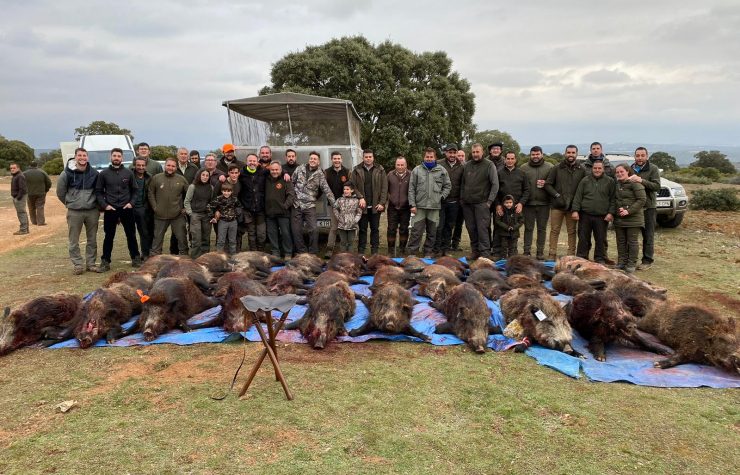 Montería en el gavilán