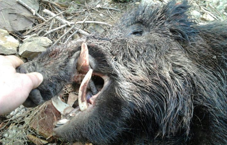 Montería en el Barranco