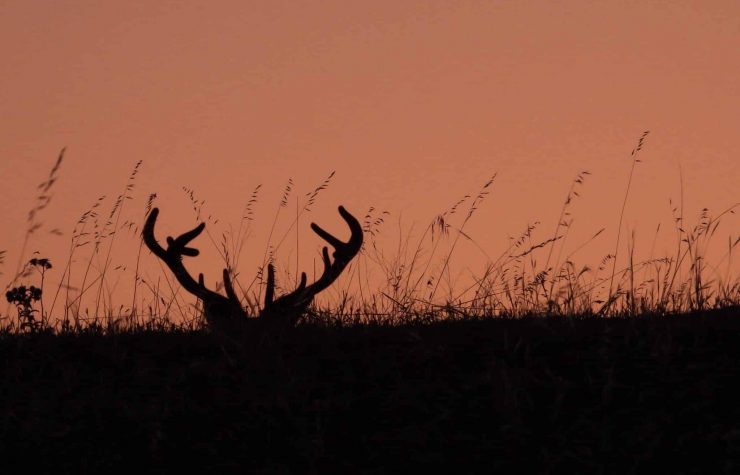 Montería en Loma de los becerros