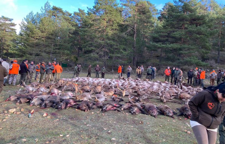 Montería en Valsalobre