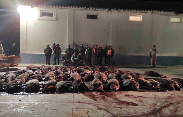 Montería en La Poveda