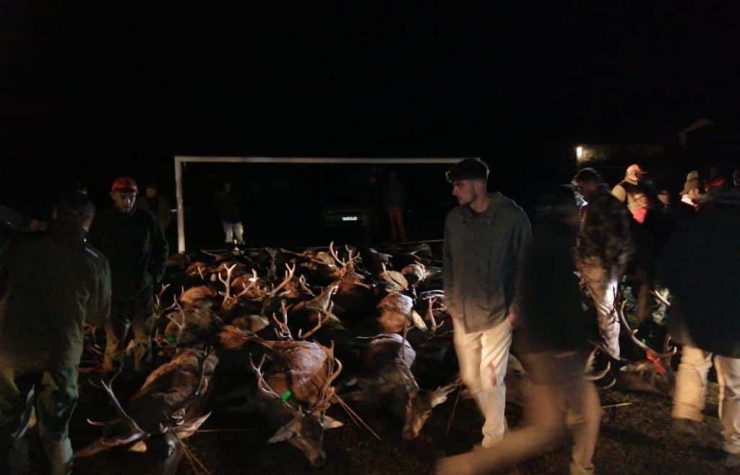 Montería en Terzaga