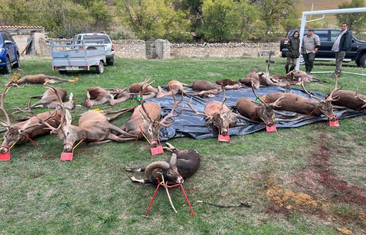 Montería en Terzaga