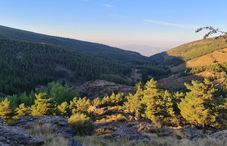 Montería en Joraique-S.Filabres