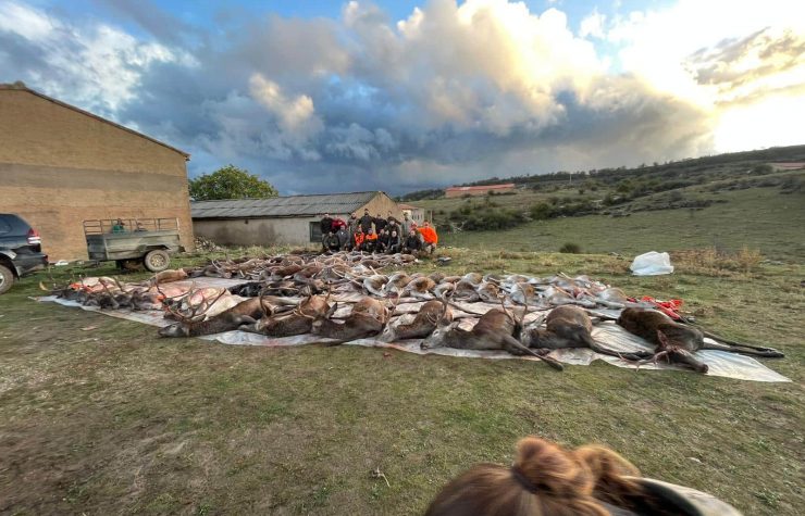 Montería en El Santo