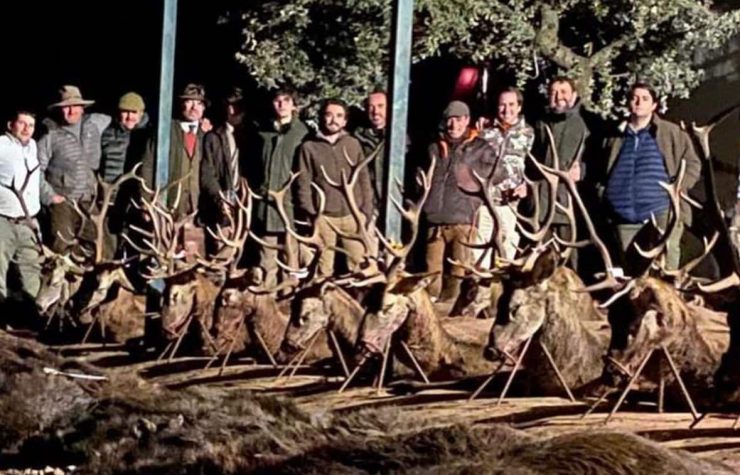 Montería en Los Llanos