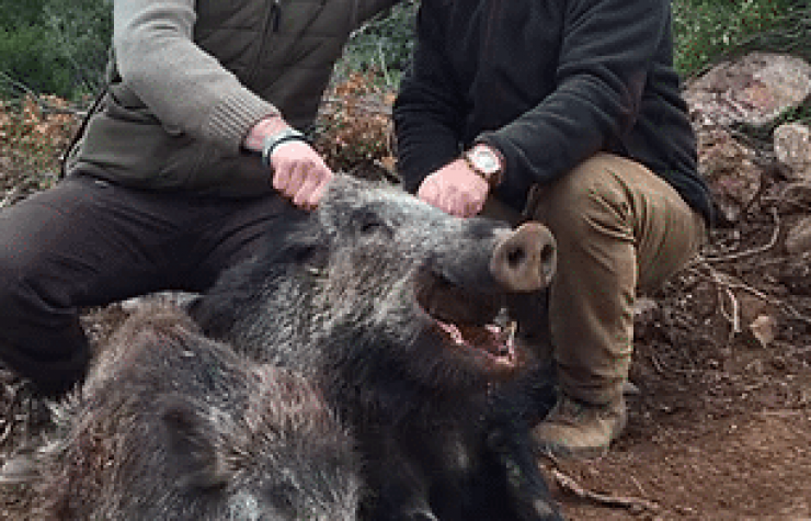 Montería en Las Quebradas