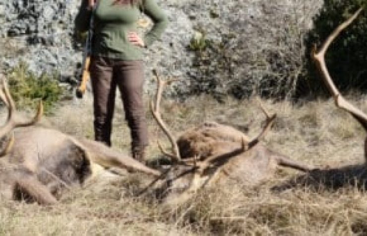 Montería en Piqueras