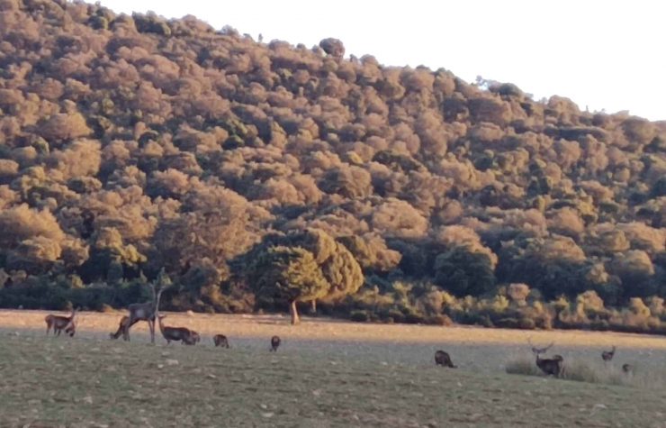Montería en Los Baños del Relumbrar