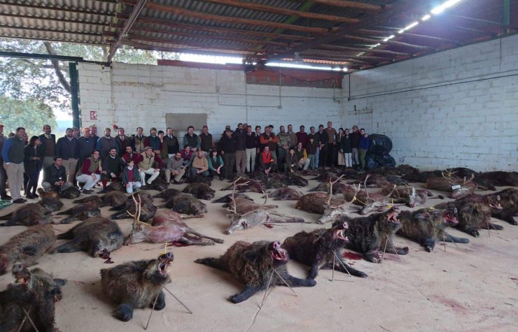 Montería en La Palomera