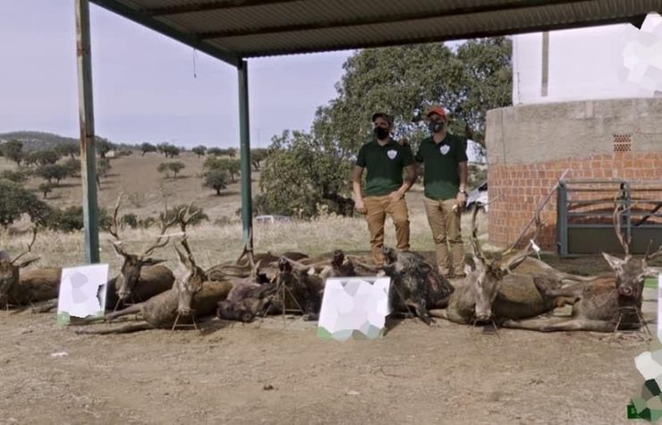Montería en Candalija