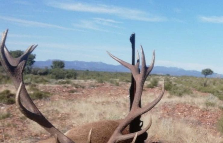 Montería en Espinosilla